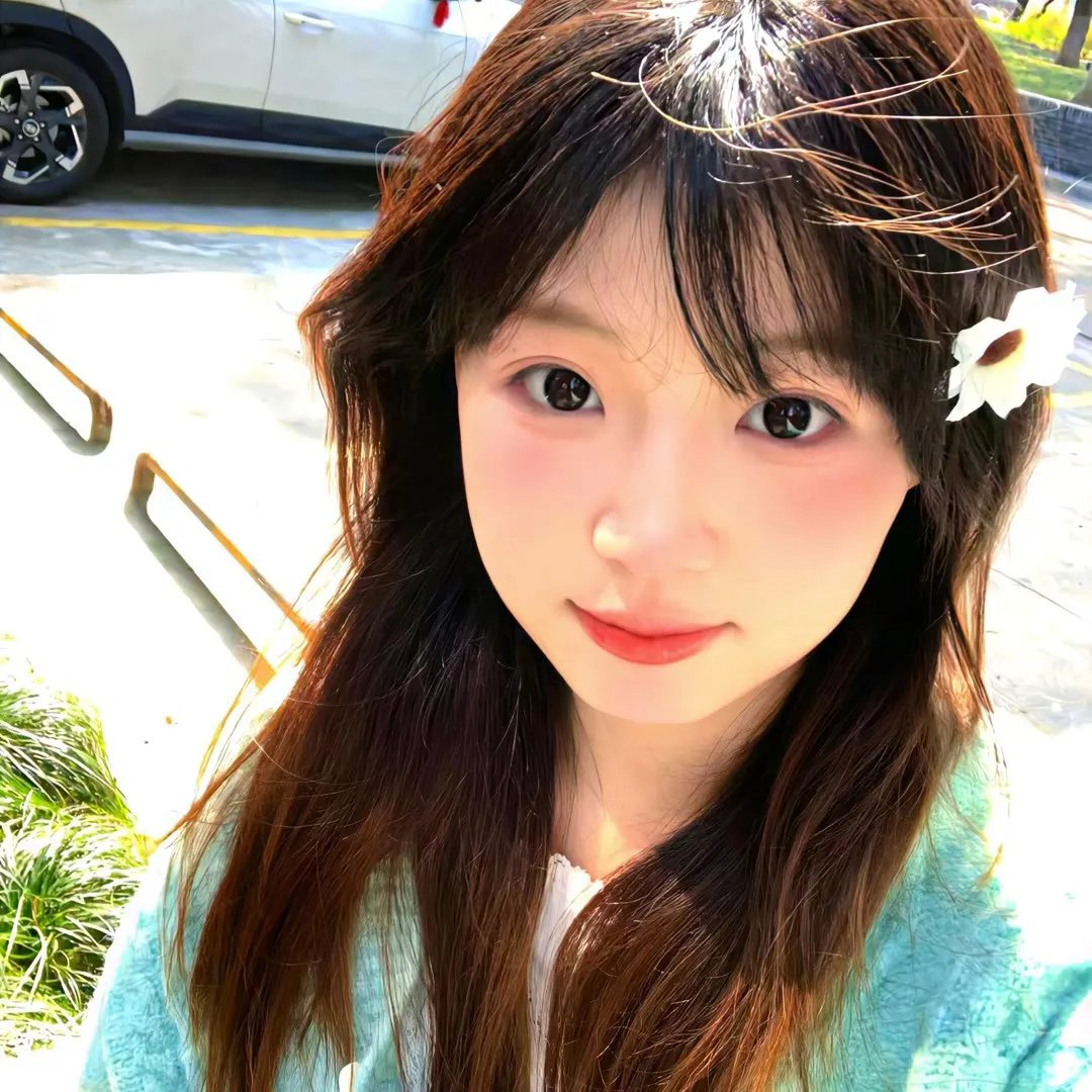 关键少数 高清封面